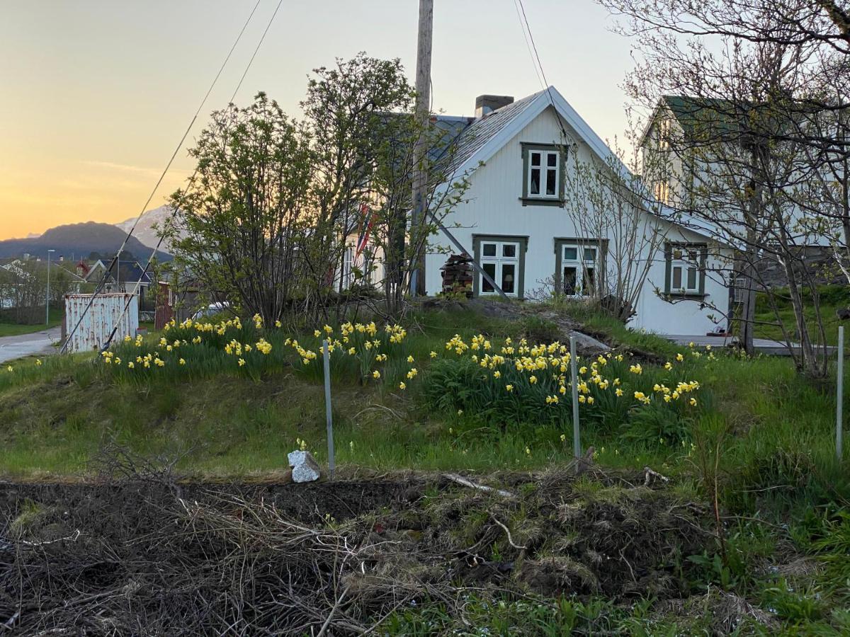 Nordlandshuset "Lottebakken", Ballstad In Lofoten Εξωτερικό φωτογραφία